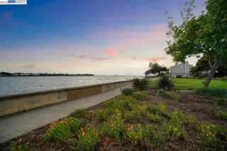 Photo #6: 41037071 Listing