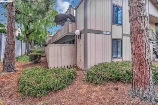 Photo #1: 41037125 Listing