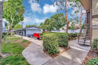 Photo #2: 41037125 Listing