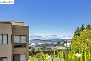 Photo #3: 41037202 Listing