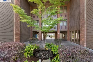 Photo #2: 41037267 Listing