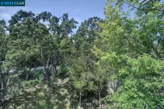 Photo #4: 41037370 Listing