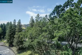 Photo #5: 41037370 Listing