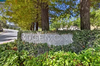 Photo #1: 41037371 Listing 