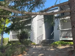 Photo #2: 41037478 Listing 