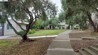 Photo #4: 41037496 Listing 