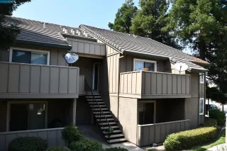 Photo #3: 41037502 Listing 