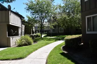 Photo #4: 41037502 Listing 