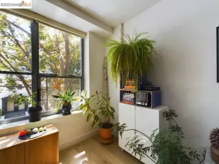 Photo #5: 41037668 Listing