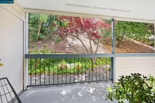 Photo #2: 41037739 Listing