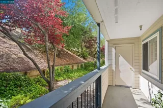 Photo #3: 41037739 Listing