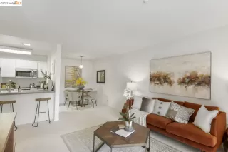 Photo #1: 41037882 Listing 