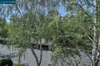 Photo #4: 41037929 Listing