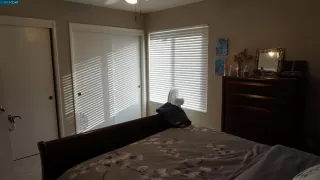 Photo #6: 41037968 Listing 