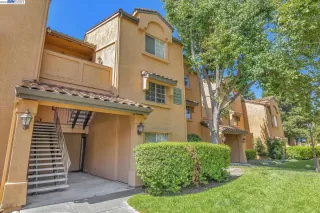 Photo #1: 41038119 Listing