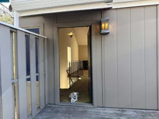 Photo #3: 41038211 Listing