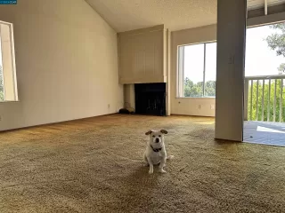 Photo #4: 41038211 Listing