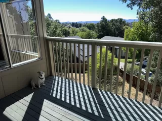 Photo #5: 41038211 Listing