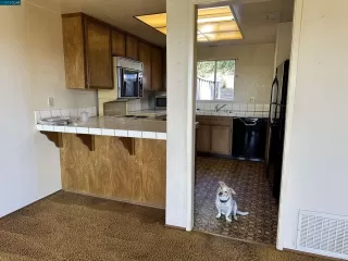 Photo #6: 41038211 Listing