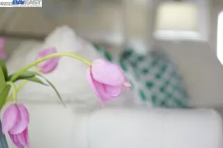 Photo #5: 41038365 Listing