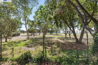 Photo #5: 41038486 Listing