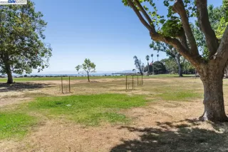 Photo #6: 41038486 Listing