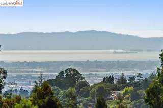 Photo #1: 41038548 Listing