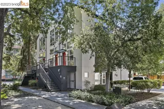 Photo #1: 41038676 Listing