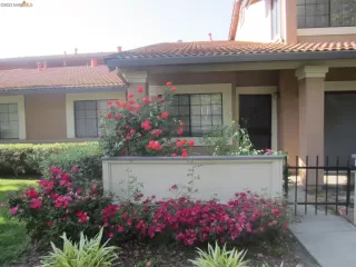 Photo #1: 41038710 Listing