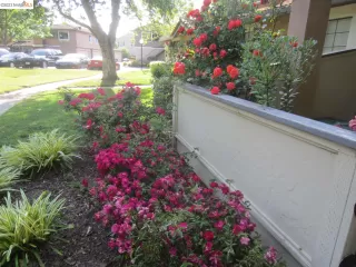 Photo #3: 41038710 Listing