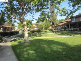 Photo #5: 41038710 Listing