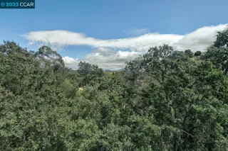 Photo #4: 41038886 Listing