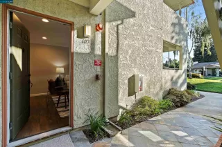 Photo #2: 41039270 Listing 