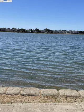 Photo #3: 41039371 Listing