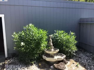 Photo #4: 41039371 Listing