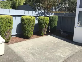 Photo #5: 41039371 Listing