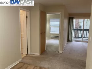 Photo #3: 41039444 Listing