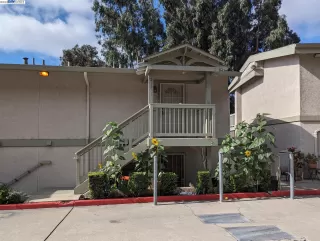 Photo #1: 41039492 Listing