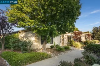 Photo #2: 41039524 Listing 