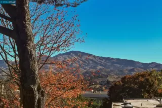 Photo #4: 41039560 Listing