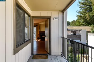 Photo #1: 41039811 Listing 