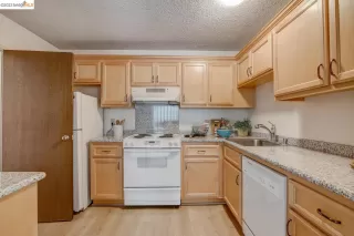 Photo #5: 41039822 Listing