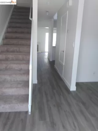 Photo #1: 41039873 Listing