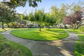 Photo #1: 41039942 Listing