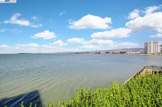 Photo #6: 41040075 Listing 