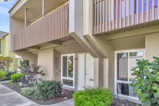 Photo #1: 41040081 Listing