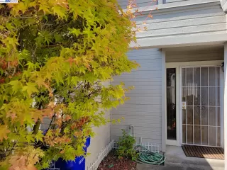 Photo #3: 41040118 Listing 