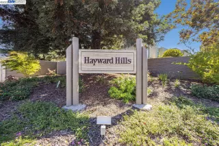 Photo #1: 41040237 Listing