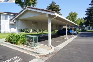 Photo #1: 41040421 Listing 