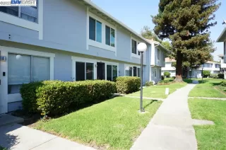 Photo #3: 41040421 Listing 